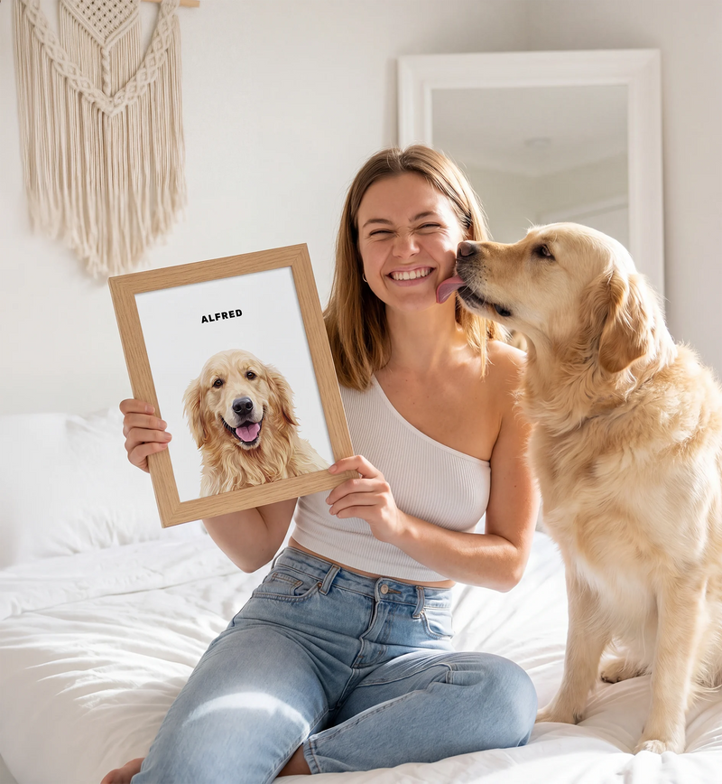 MODERN PET PORTRAITS
