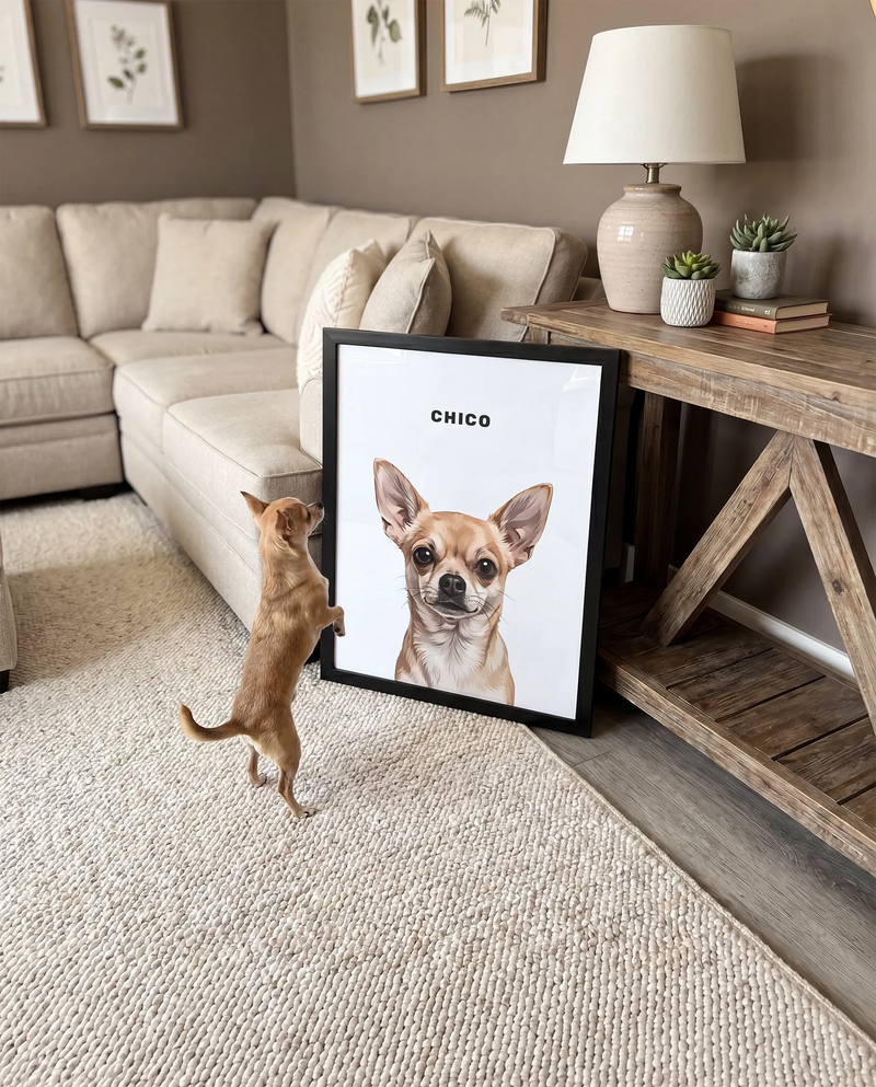 MODERN PET PORTRAITS